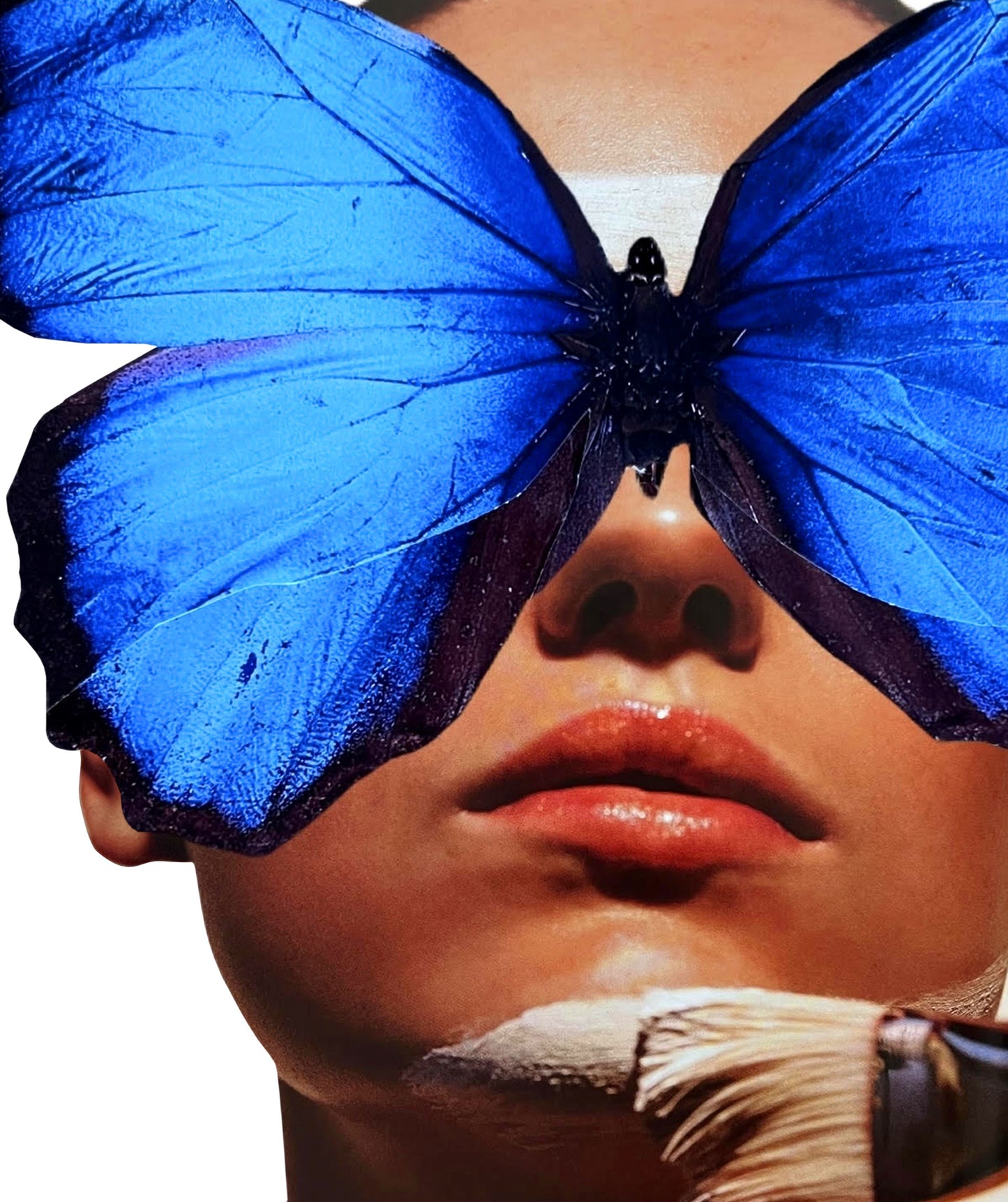 Miss Morpho